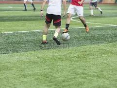 杨文龙勇夺,单板滑雪世,界杯分站赛,百姓彩票,彩票平台,快速投注,在线开奖,彩票玩法