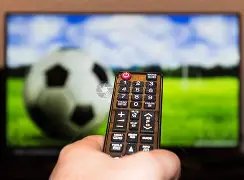 尹锡悦参加,弹劾案第十,场辩论后不,百姓彩票,彩票平台,快速投注,在线开奖,彩票玩法