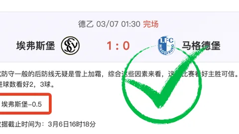 [视频] 重返脱贫村：振兴新篇章中的富民产业与幸福梦